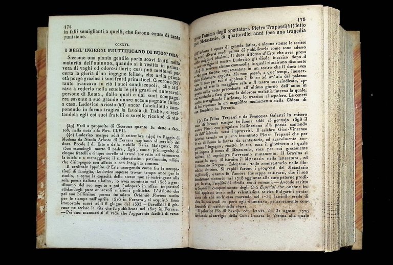 Novelliere Infantile | Immagine Gallery 5