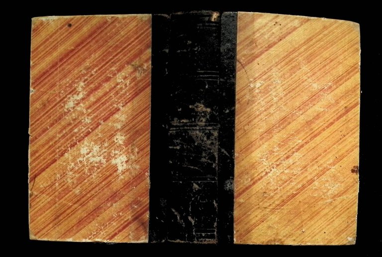 Novelliere Infantile | Immagine Gallery 7