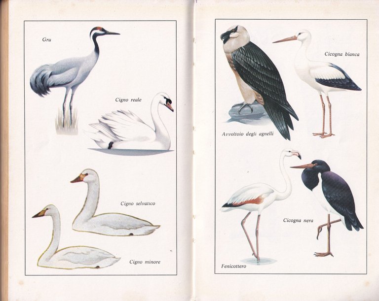 Nozioni di legislazione e di tecnica venatoria