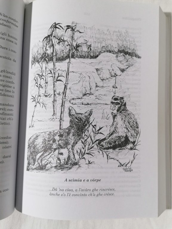 Nuovo Dizionario Italiano Genovese Illustrato e Commentato Libro Bampi Dialetto