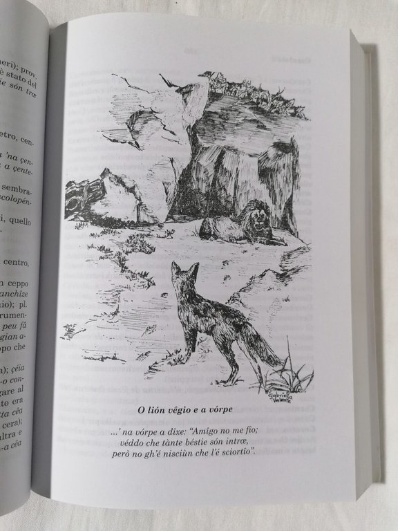 Nuovo Dizionario Italiano Genovese Illustrato e Commentato Libro Bampi Dialetto