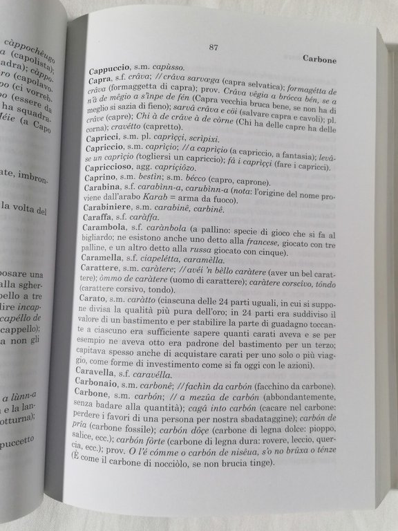 Nuovo Dizionario Italiano Genovese Illustrato e Commentato Libro Bampi Dialetto