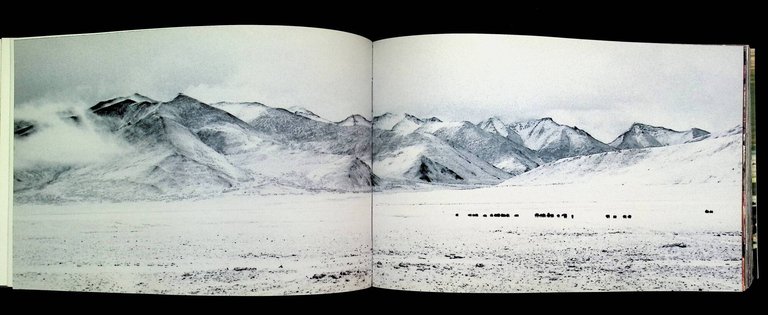 Offerte. 365 pensieri di maestri buddhisti. Ediz. illustrata | Immagine Gallery 7