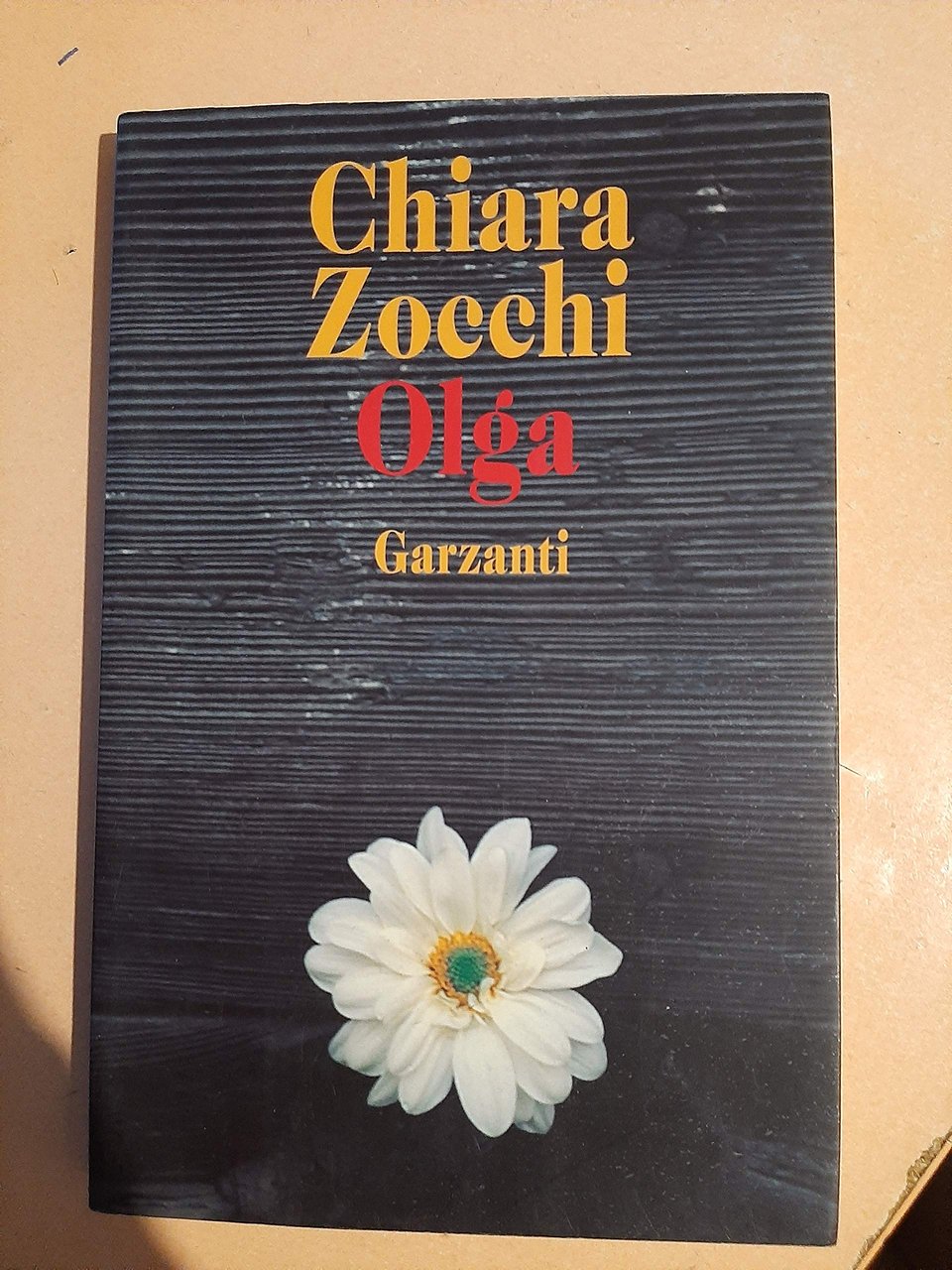 Olga - Chiara Zocchi | Immagine principale
