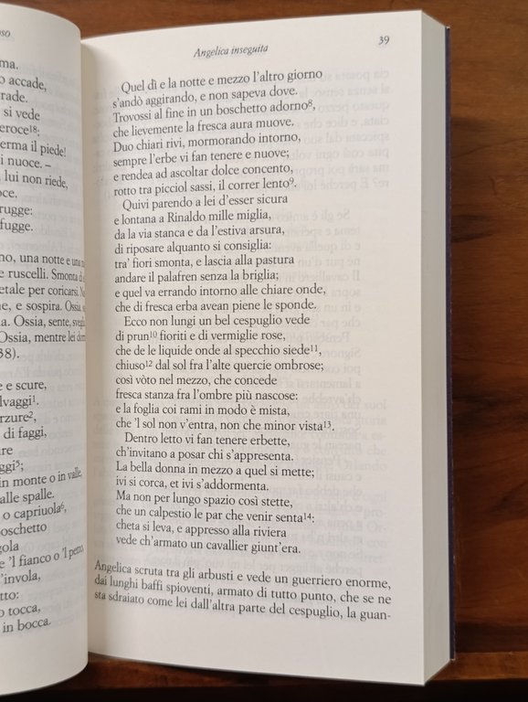 Orlando Furioso di Ludovico Ariosto raccontato da Italo Calvino | Immagine Gallery 10