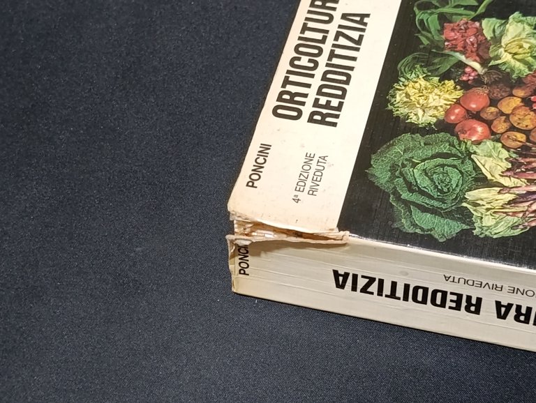 Orticoltura Redditizia. Nei campi, negli orti, in montagna. Grande e …