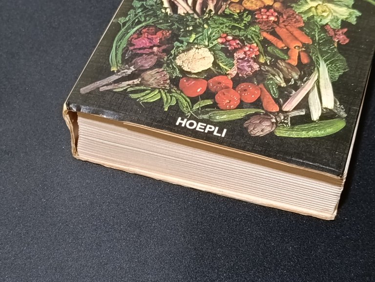 Orticoltura Redditizia. Nei campi, negli orti, in montagna. Grande e …