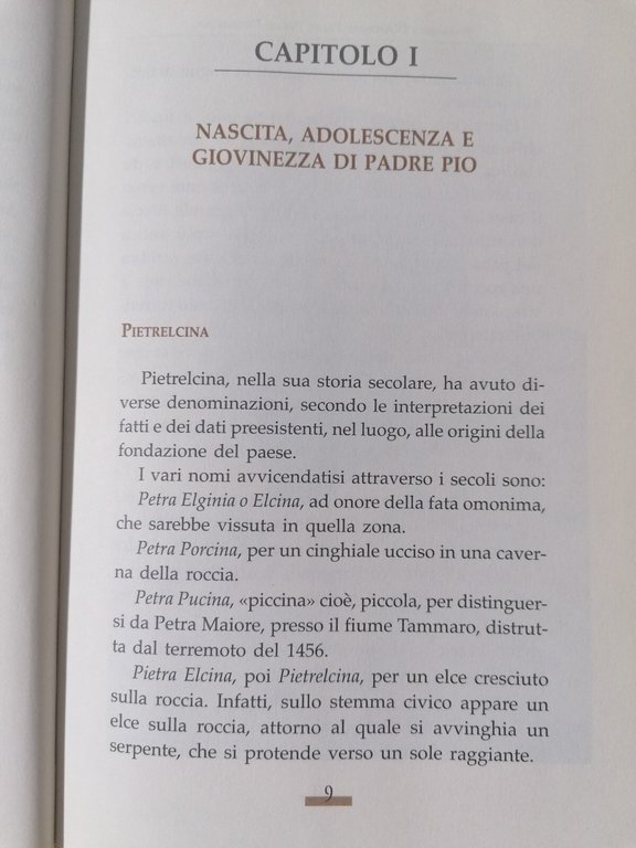 Padre Pio Da Pietrelcina Ricordi Esperienze Testimonianze Libro D'Apolito 2010