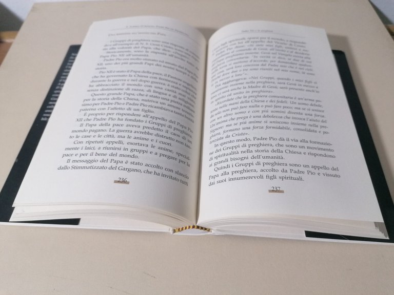 Padre Pio Da Pietrelcina Ricordi Esperienze Testimonianze Libro D'Apolito 2010