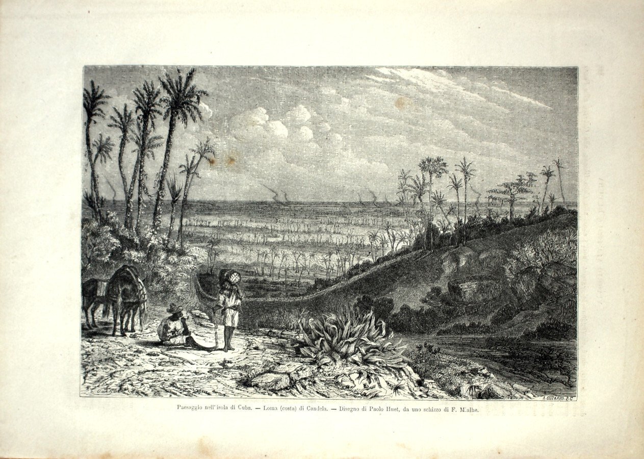 Paesaggio dell'isola di Cuba. Loma (costa) di Candela. Stampa 1864 | Immagine principale