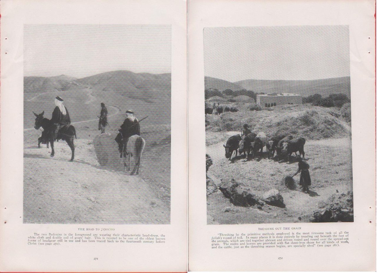 Palestine. The road to Jerico/Treading out the grain. Foto da … | Immagine principale