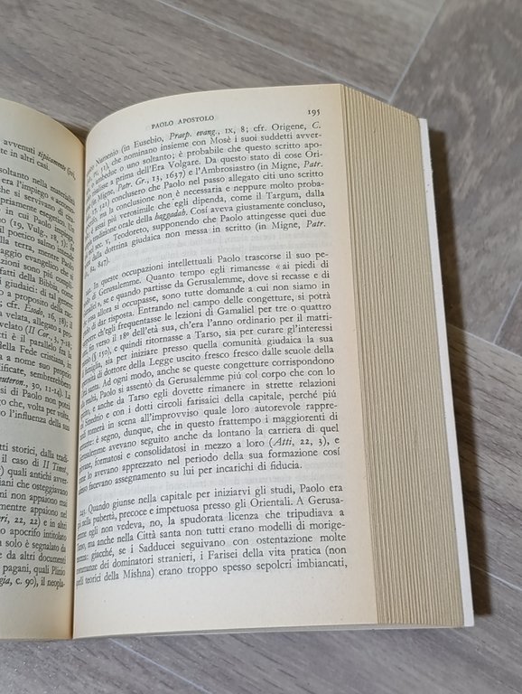 Paolo apostolo : biografia con introduzione critica