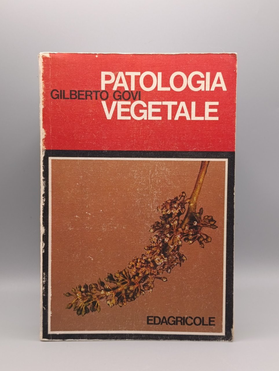 Patologia Vegetale | Immagine principale