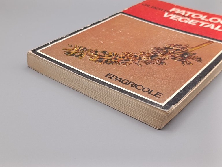 Patologia Vegetale | Immagine Gallery 4