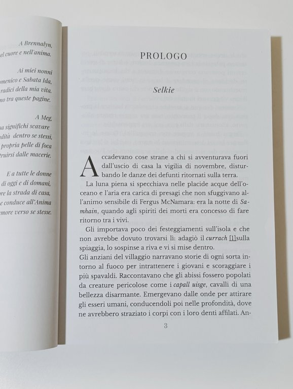 Pelle di Foca | Immagine Gallery 5