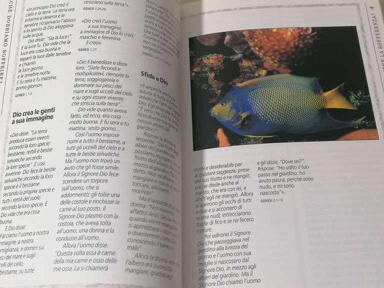 Perché Dobbiamo Soffrire Lo Scandalo Della Sofferenza Libro Jones 8801103190