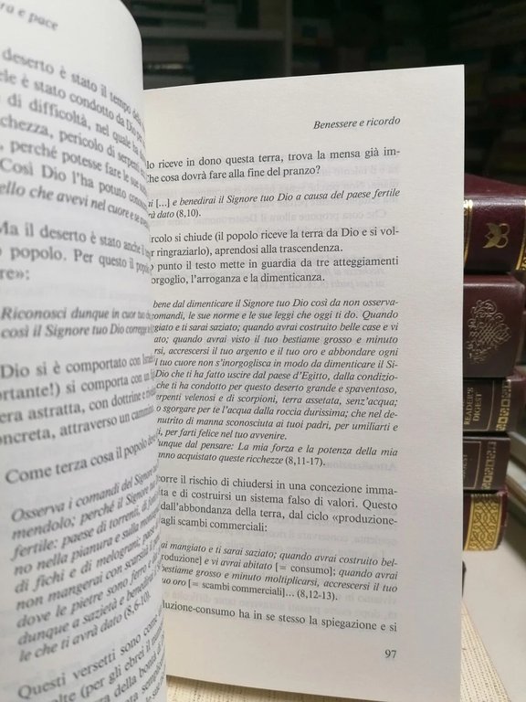 Piantata In Terra Toccava Il Cielo Libro Meditazioni Bibliche Schokel …