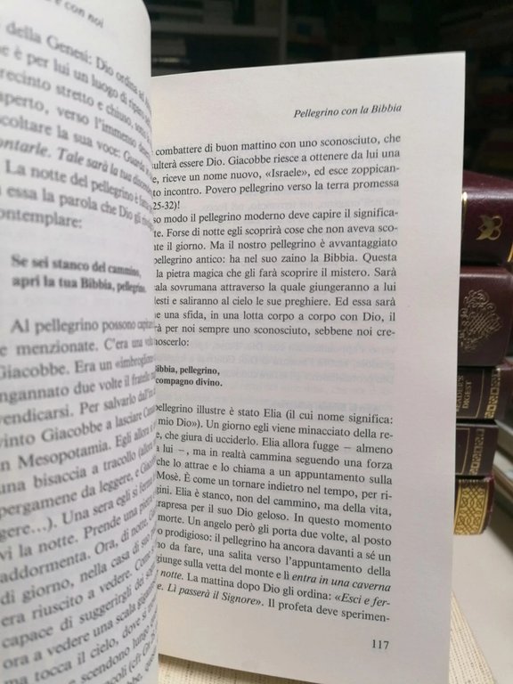 Piantata In Terra Toccava Il Cielo Libro Meditazioni Bibliche Schokel …