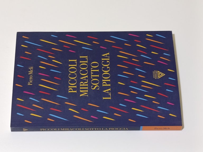 Piccoli miracoli sotto la pioggia