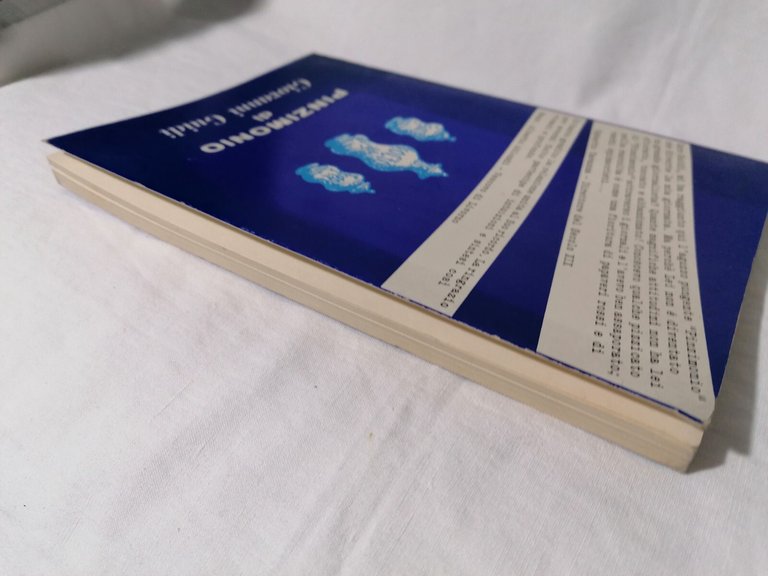 Pinzimonio Libro Giovanni Guidi Aforismi Scritti Sparsi Giornalista Sanremese 75