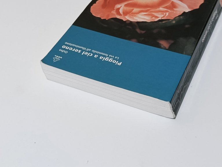 Pioggia a ciel sereno. La via femminile all'illuminazione | Immagine Gallery 4