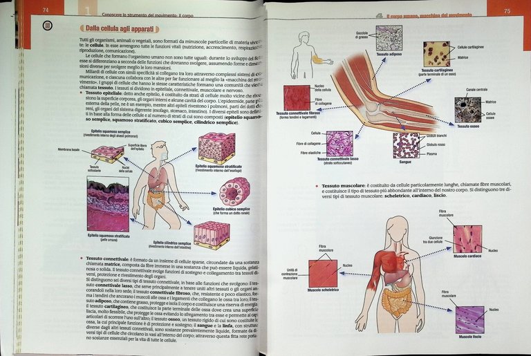 Piùchesportivo Più Che Sportivo Le Basi Scienza Motoria Libro DVD …