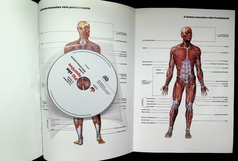 Piùchesportivo Più Che Sportivo Le Basi Scienza Motoria Libro DVD …