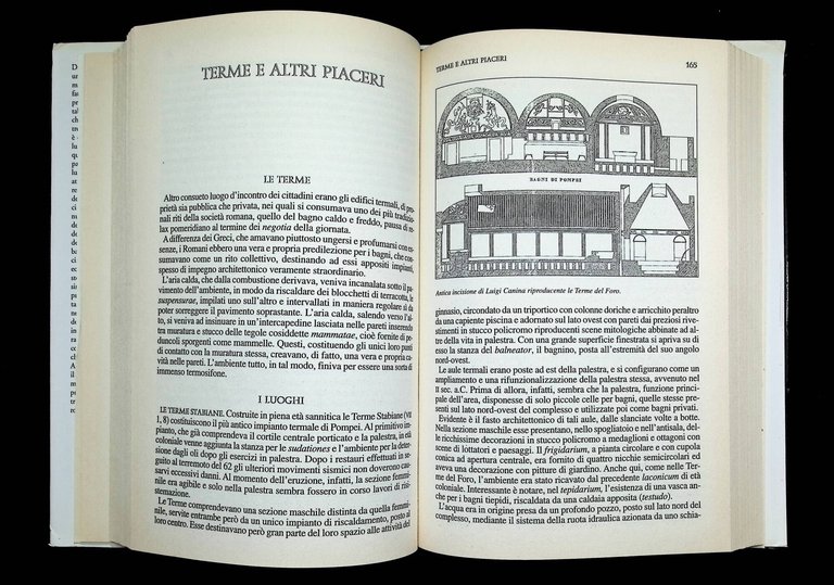 Pompei, i misteri di una città sepolta. Storia e segreti …