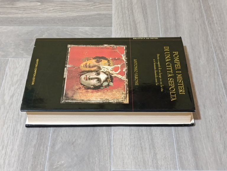 Pompei, i misteri di una città sepolta. Storia e segreti …
