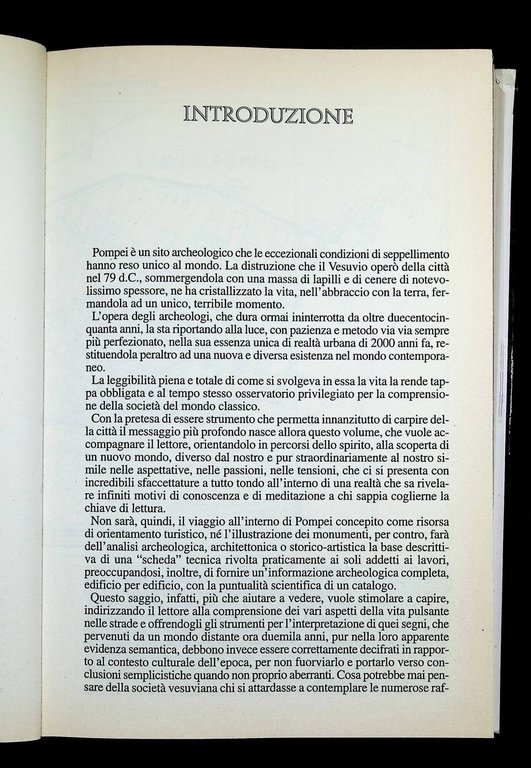Pompei, i misteri di una città sepolta. Storia e segreti …