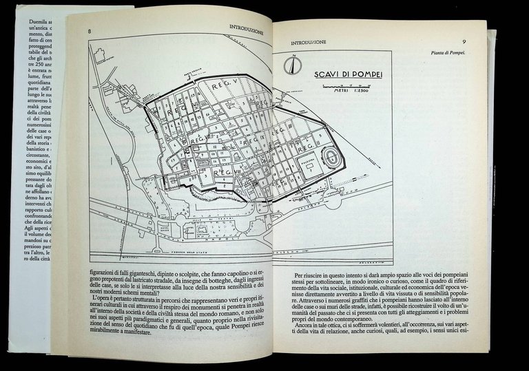 Pompei, i misteri di una città sepolta. Storia e segreti …