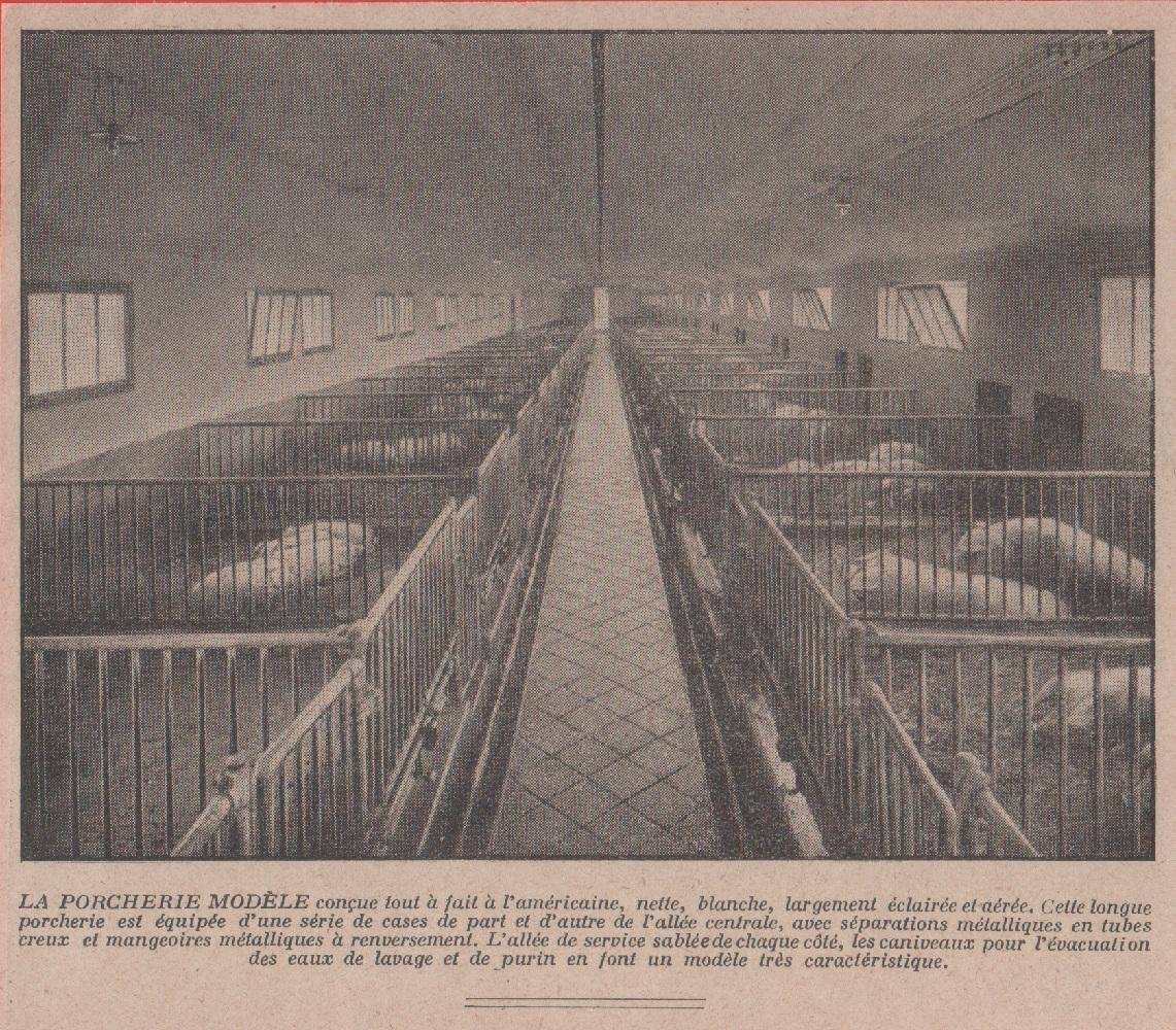 Porcherie modéle. Advertising 1926 | Immagine principale