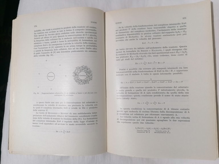 Principi di Chimica Biologica - Moruzzi Rossi Rabbi Libro Manuale …
