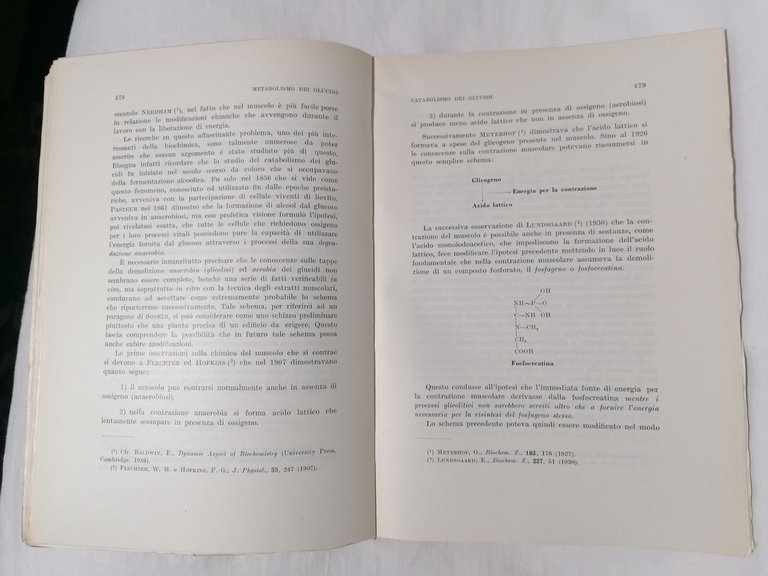 Principi di Chimica Biologica - Moruzzi Rossi Rabbi Libro Manuale …