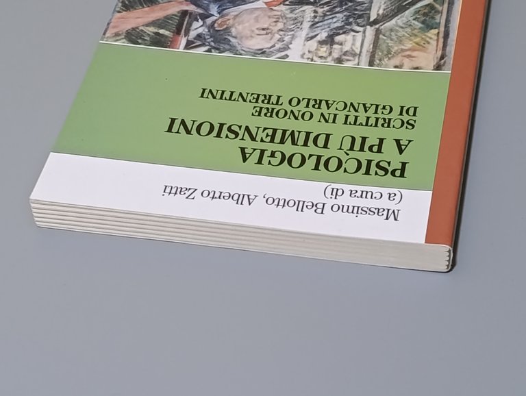 Psicologia a più dimensioni. Scritti in onore di Giancarlo Trentini