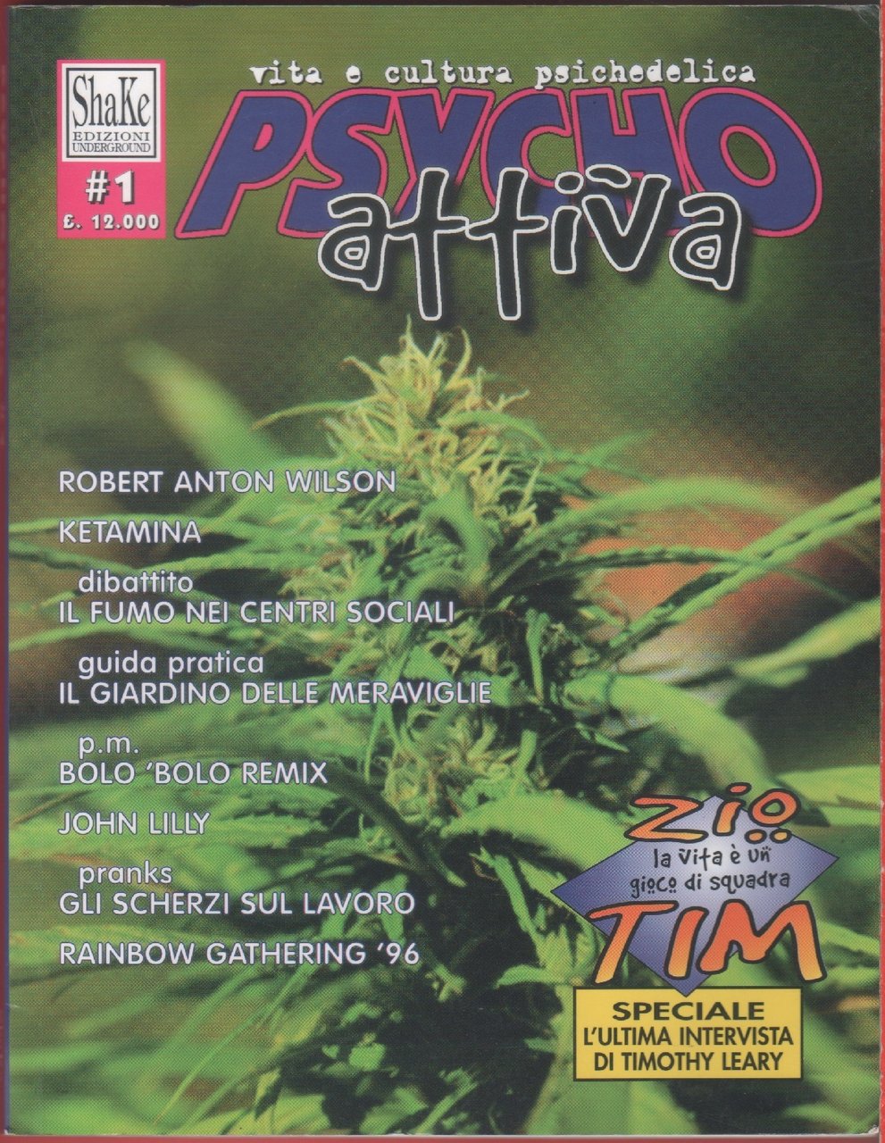 Psycho Attiva. n. 1 | Immagine principale