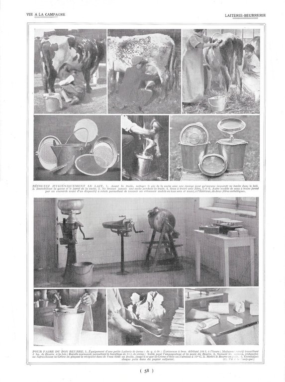 Races de Lapins / Laiterie Beurrerie - Immagine 1928 | Immagine Gallery 2