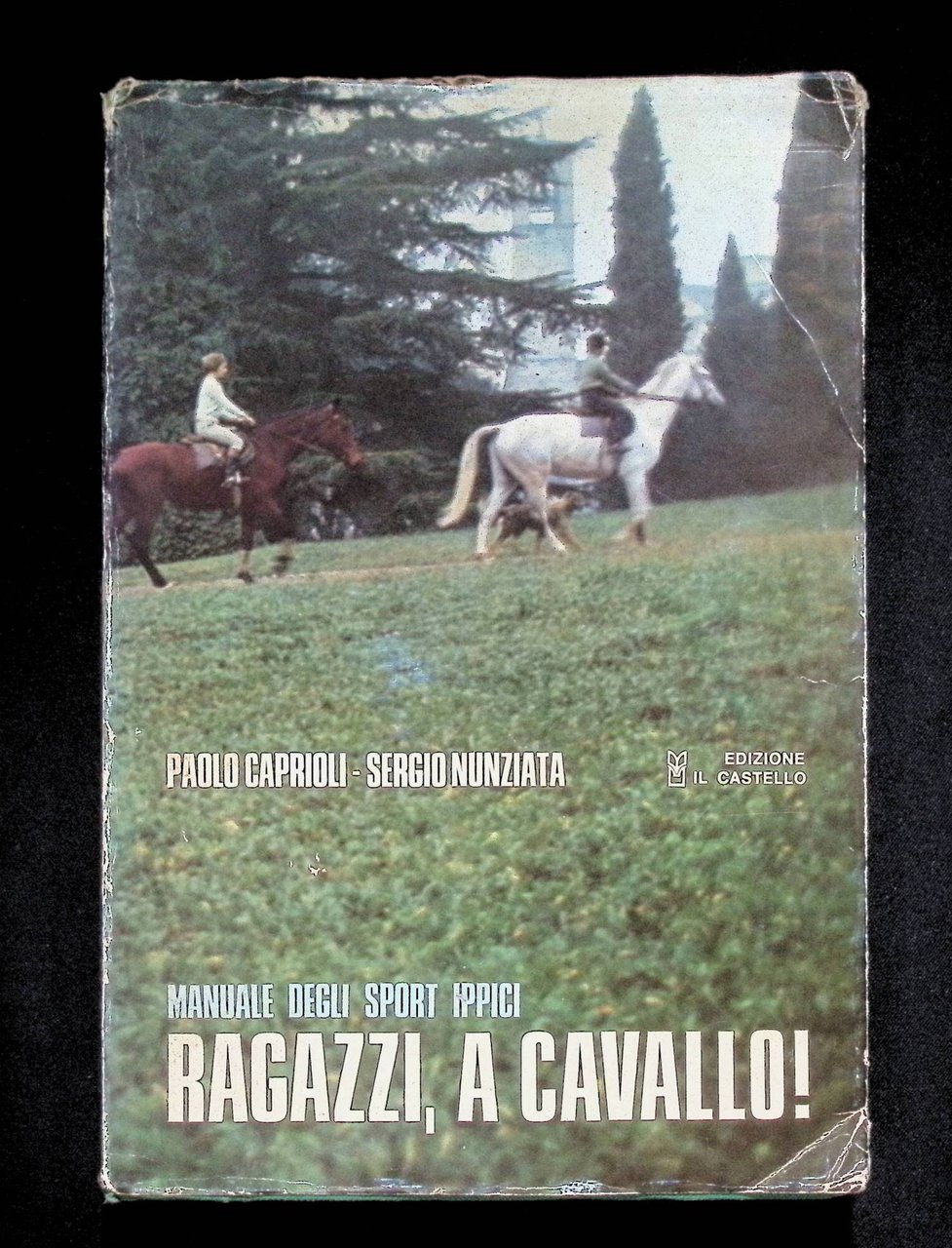 Ragazzi, A Cavallo! Manuale Degli Sport Ippici | Immagine principale