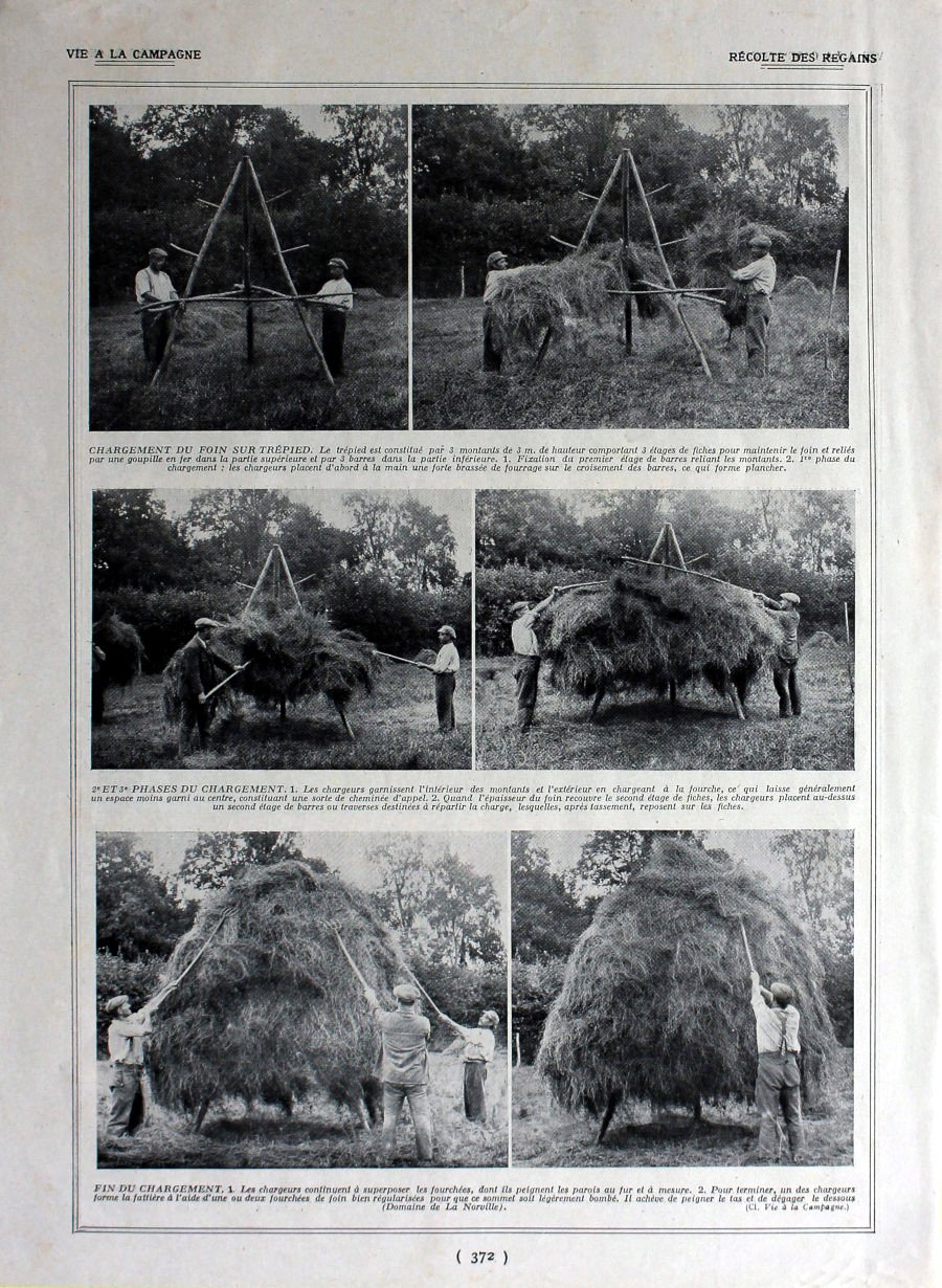 Recolte des regains. Immagine 1926 | Immagine principale