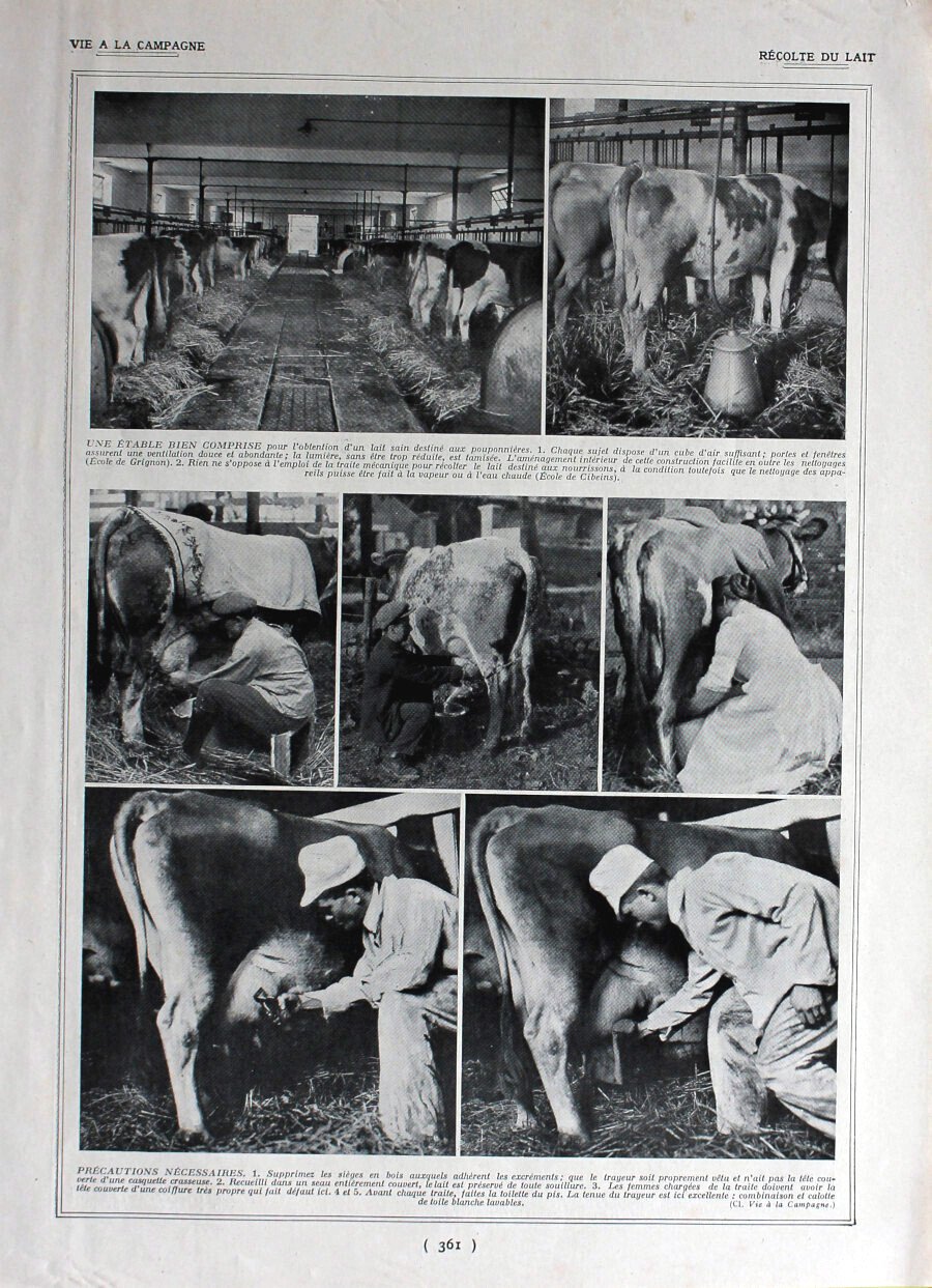 Recolte du lait / Production du lait. Immagine 1926 | Immagine principale