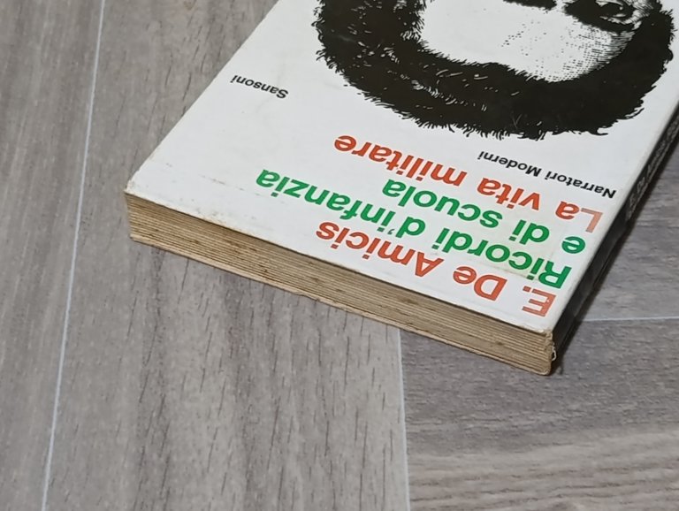 Ricordi d'infanzia e di scuola. La vita militare