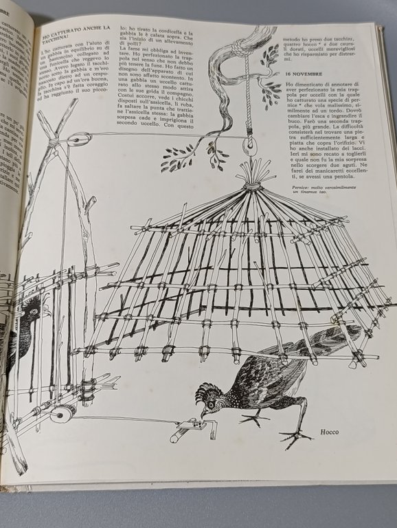 Robinson Crusoe. La mia raccolta di schizzi