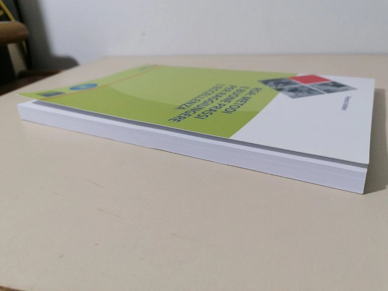 Rsa Metodi E Buone Prassi Per Raggiungere L'Eccellenza Libro Iurlaro …