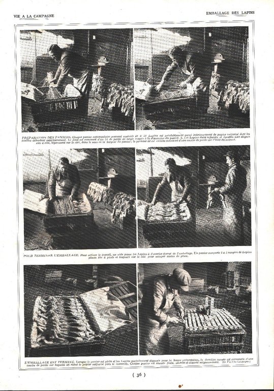 Sacrifice des lapins / Emballage des lapins. Stampa 1924 | Immagine Gallery 2
