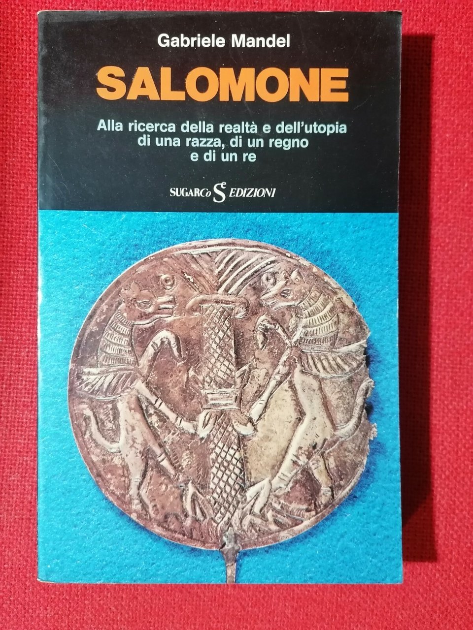 Salomone Alla Ricerca della realtà e dell'Utopia