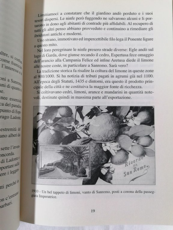 Sanremo Cronache Minime Libro Storico Aneddoti Roberto Colombo Philobiblon 2006