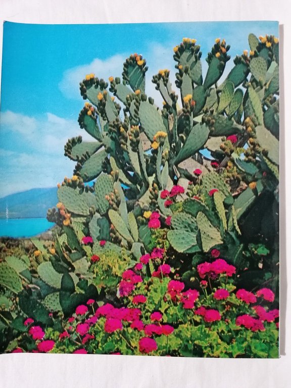 Sanremo E Il Suo Entroterra Libro Guida Turistica Illustrata Rara …