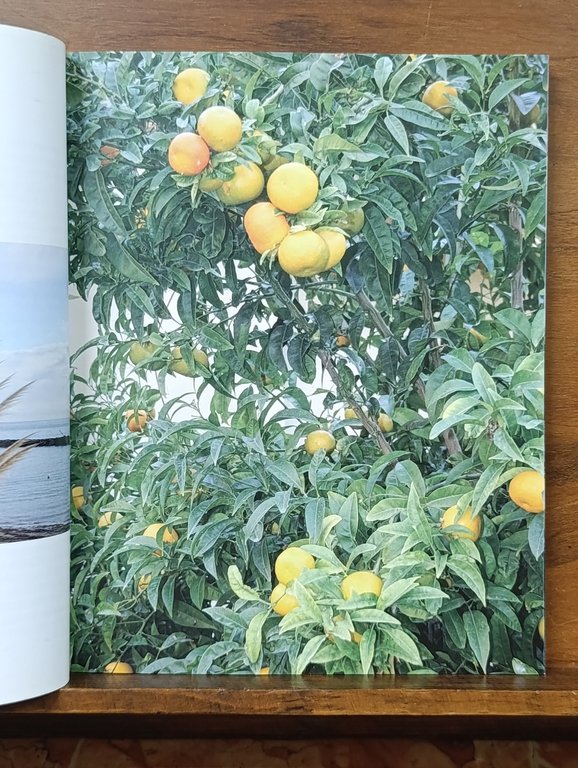 Santo Stefano al mare. Storia, arte, paesaggio. Ediz. illustrata | Immagine Gallery 9