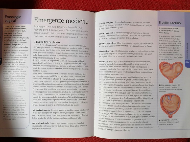 Sarò Mamma - Libro Miriam Stoppard Mondadori 2009 maternità nuova …