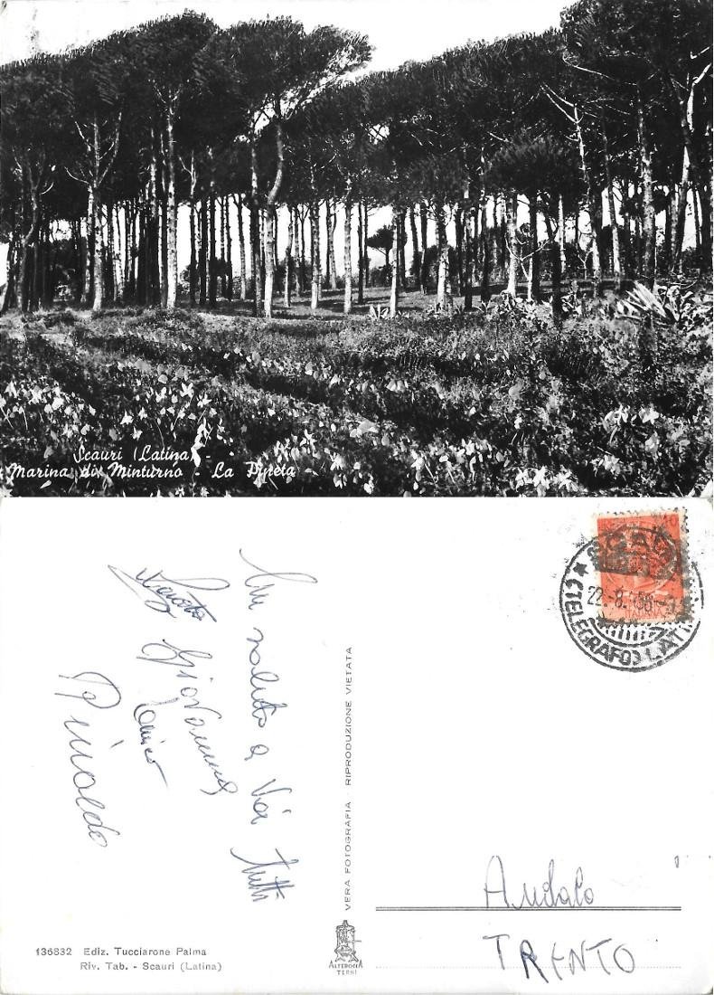 Scauri (LT). Marina di Minturno. La Pineta. Viaggiata 1958 | Immagine principale